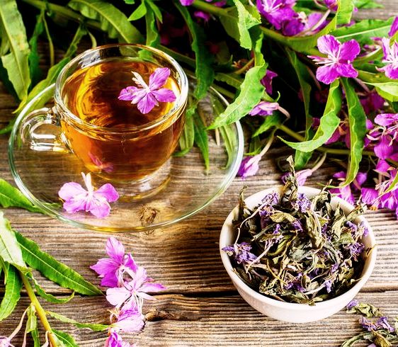 Healing Power of Herbs - natural products